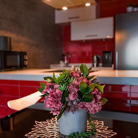 Endless Horizon View - Free Private Parking Including & Guest Bonus 아파트